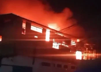 Pabrik Ikan Ekspor Di Gabion Belawan Terbakar