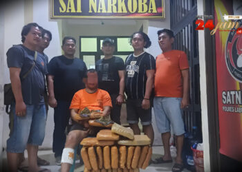 Satres Narkoba Polres Labusel Gagalkan Peredaran 26 Kg Ganja