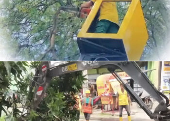 Minimalisir Bencana Banjir, Pemko Medan Pangkas Ranting Pohon dan Normalisasi Parit