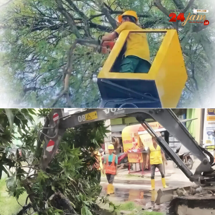 Minimalisir Bencana Banjir, Pemko Medan Pangkas Ranting Pohon dan Normalisasi Parit