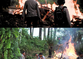 Sarang Narkoba di Bukit Perkemahan Pramuka Sibolangit Digerebek