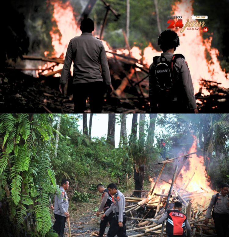 Sarang Narkoba di Bukit Perkemahan Pramuka Sibolangit Digerebek