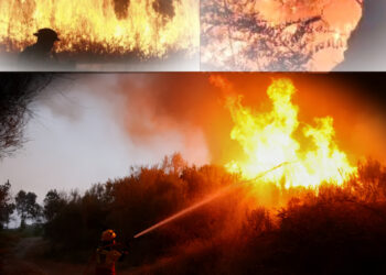 Kebakaran Hebat di Aceh Barat Musnahkan 18 Hektar Lahan Gambut