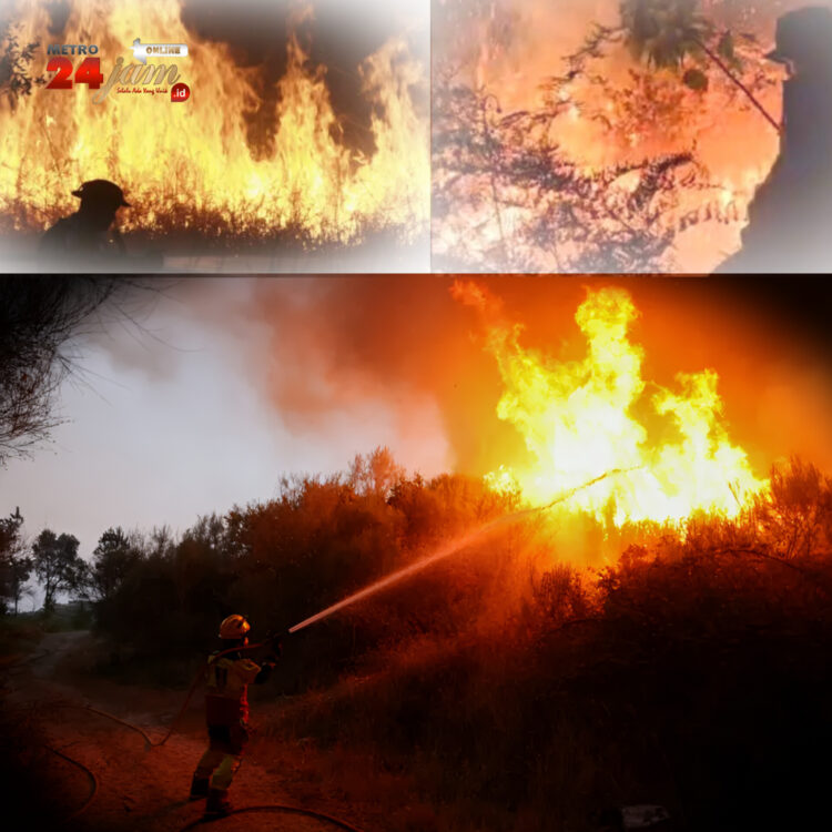 Kebakaran Hebat di Aceh Barat Musnahkan 18 Hektar Lahan Gambut