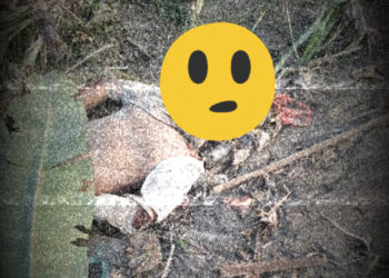 Hanyut di Sungai Belawan, Pria Asal Tuntungan Ditemukan Tewas