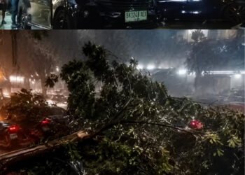 Hujan Badai Bikin Merinding Warga Medan, 11 Rumah Rusak dan 39 Warga Terdampak