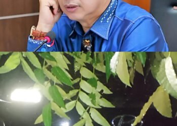 Akibat Hujan Disertai Angin Kencang, 2 Mobil Ketua DPRD Medan Ringsek Ditimpa Pohon