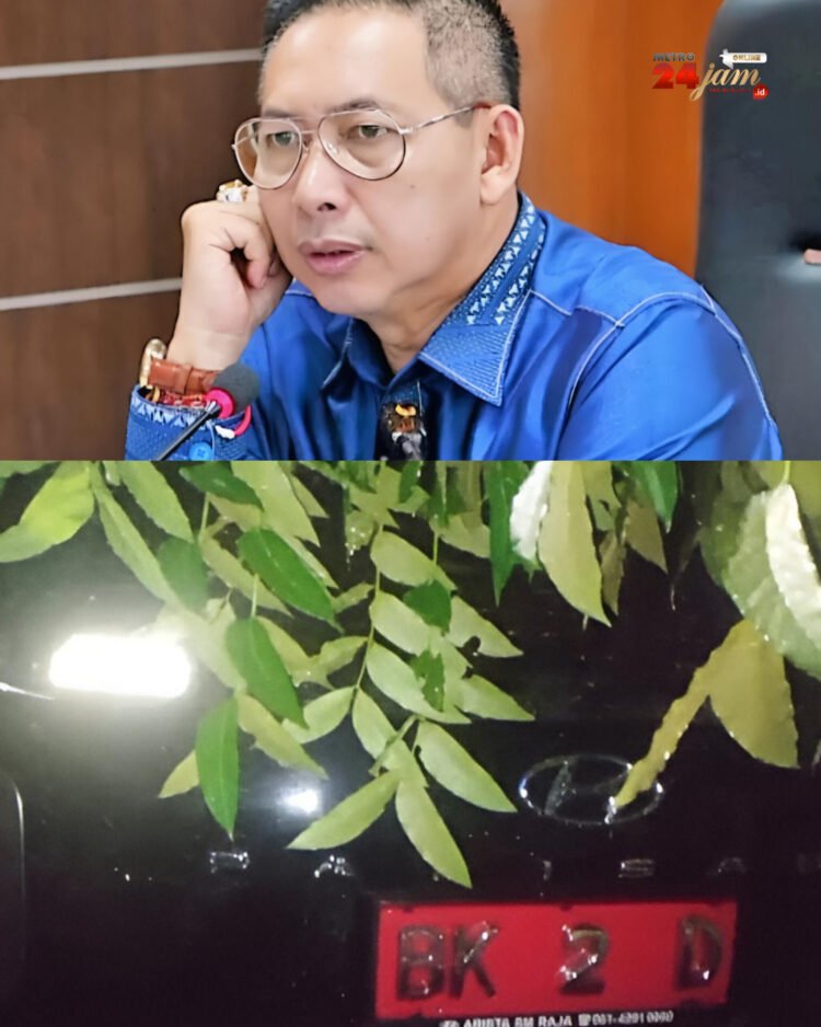 Akibat Hujan Disertai Angin Kencang, 2 Mobil Ketua DPRD Medan Ringsek Ditimpa Pohon